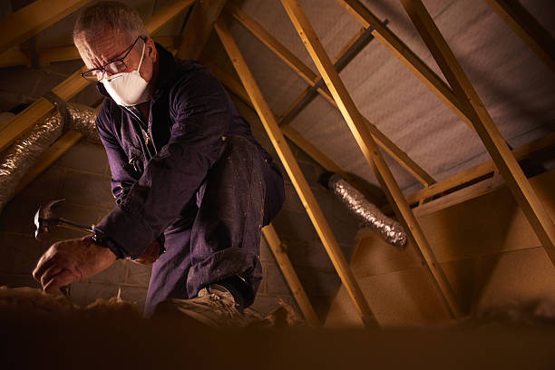 Best Residential Insulation in Staunton, IL